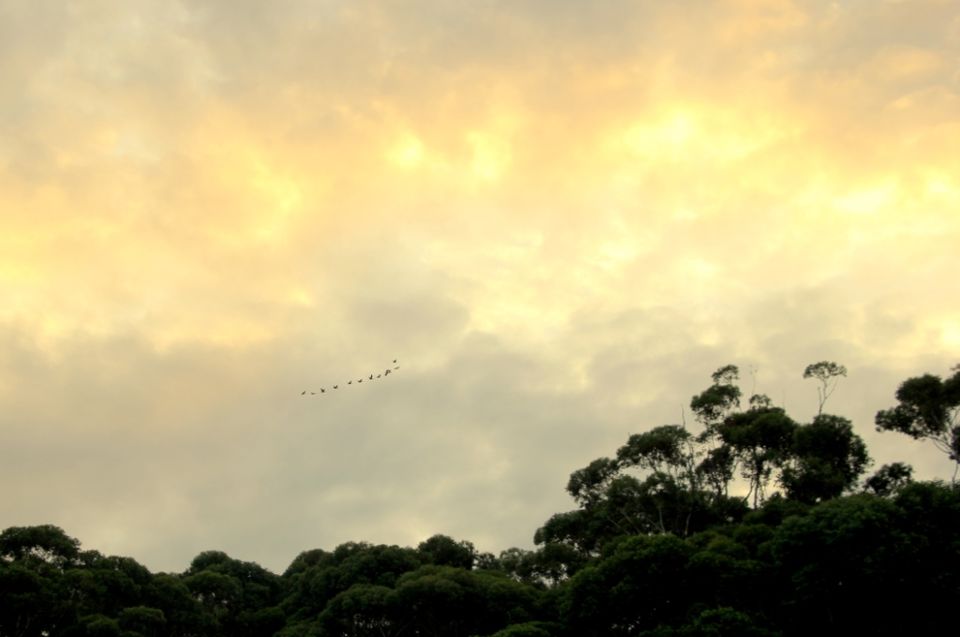 Photo of Jervis Bay, Australia by Ayan