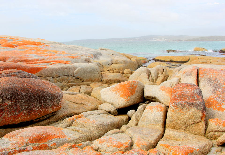 Photo of In Van Diemen’s land: My travels in Tasmania - 2 by Ayan