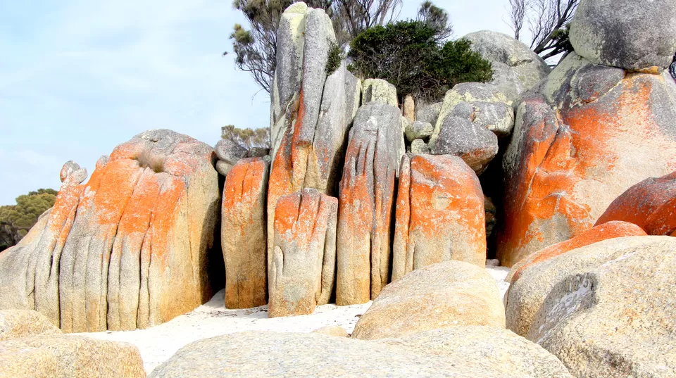 Photo of Cosy Corner North, Binalong Bay TAS, Australia by Ayan