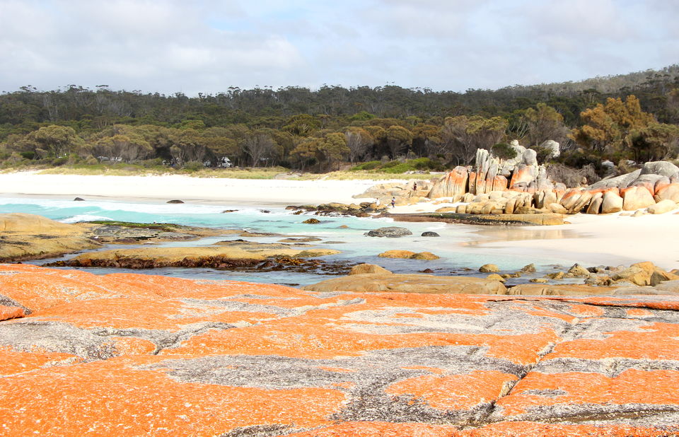 Photo of Bay of Fires, Tasmania, Australia by Ayan