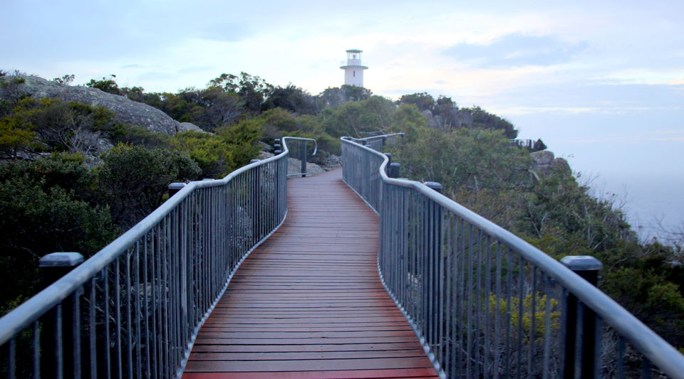 Photo of In Van Diemen’s land: My travels in Tasmania - 3 by Ayan