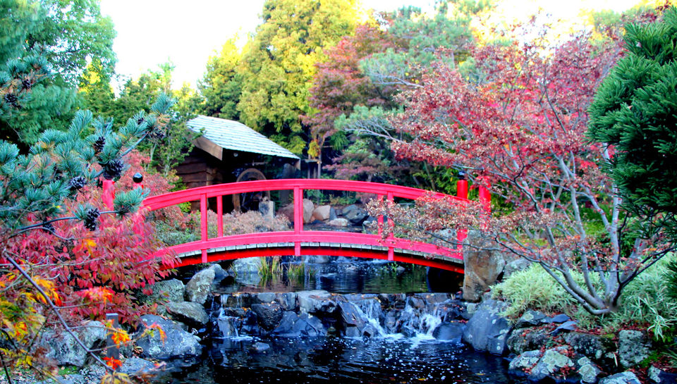 Photo of Royal Tasmanian Botanical Gardens, Lower Domain Road, Hobart TAS, Australia by Ayan