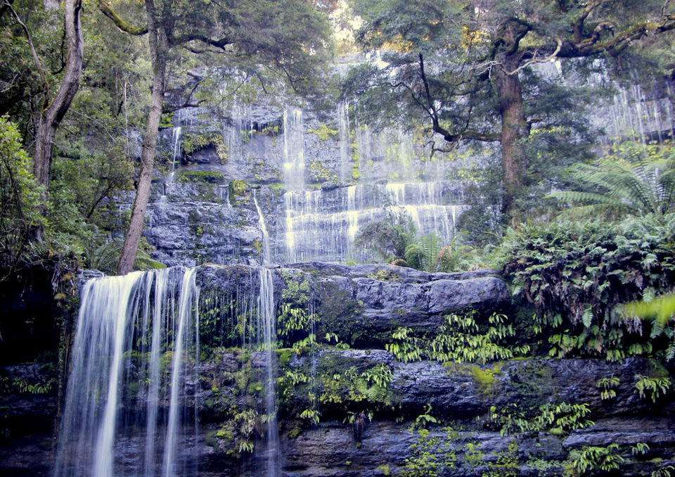 Photo of Mount Field National Park, Lake Dobson Road, National Park TAS, Australia by Ayan