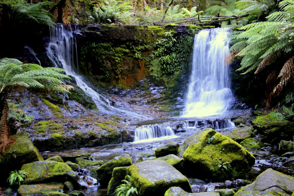 Photo of In Van Diemen’s land: My travels in Tasmania - 5 by Ayan
