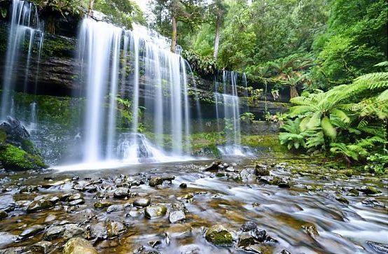 Photo of Mount Field National Park, Lake Dobson Road, National Park TAS, Australia by Ayan