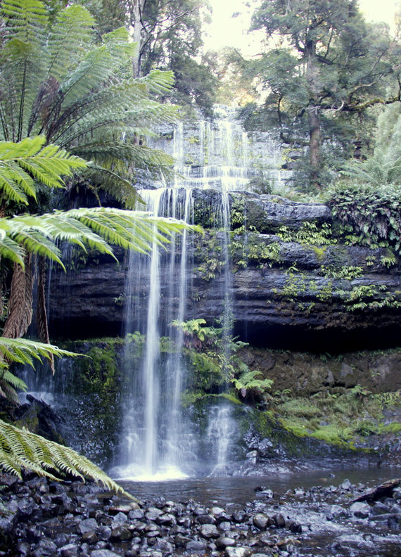 Photo of Mount Field National Park, Lake Dobson Road, National Park TAS, Australia by Ayan