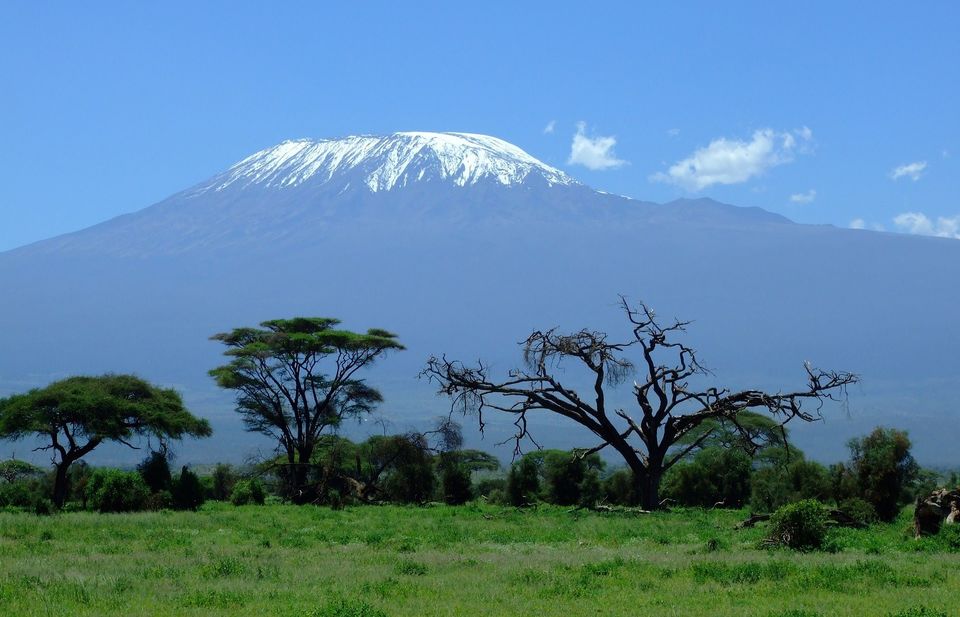 Photo of Best national parks to see the Big 5 in Kenya 4/9 by Kavish Arora