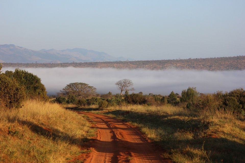 Photo of Best national parks to see the Big 5 in Kenya 5/9 by Kavish Arora