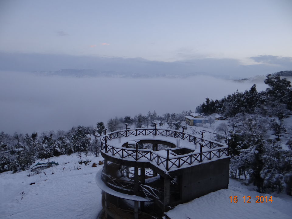 Photo of Why Kausani is so special :-) 1/6 by Nidhi Sharma