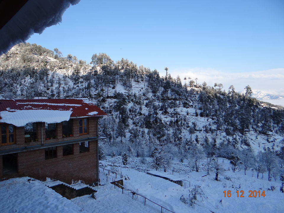 Photo of Why Kausani is so special :-) 2/6 by Nidhi Sharma