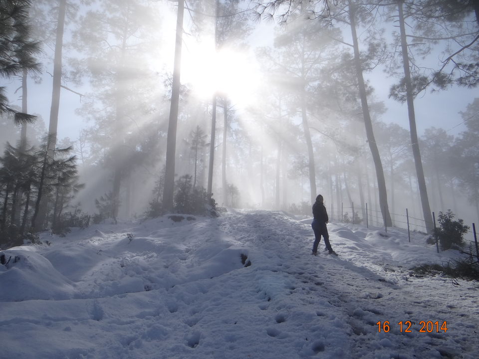 Photo of Why Kausani is so special :-) 4/6 by Nidhi Sharma