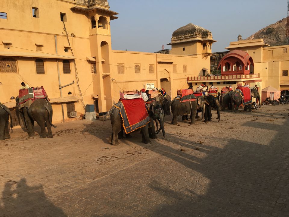 Photo of From India with Love - Road Trip across Northwestern India !! by Hardik Mehta