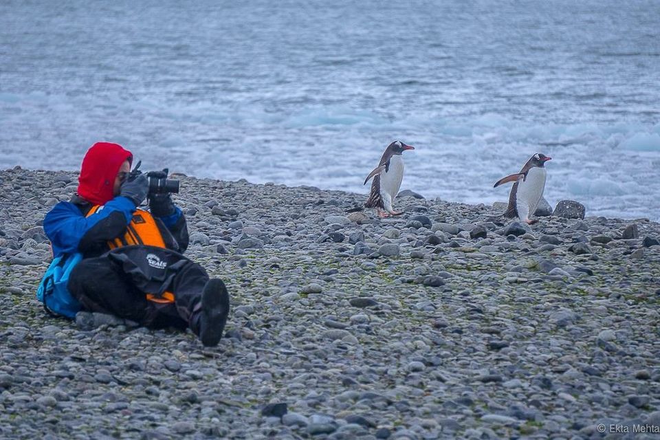 Photo of White Christmas 2016 - Antarctica Conquered !! 15/26 by Hardik Mehta