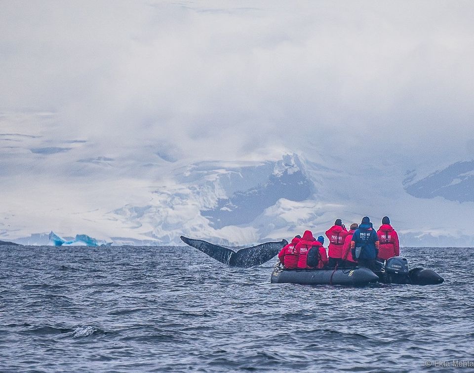 Photo of White Christmas 2016 - Antarctica Conquered !! 18/26 by Hardik Mehta