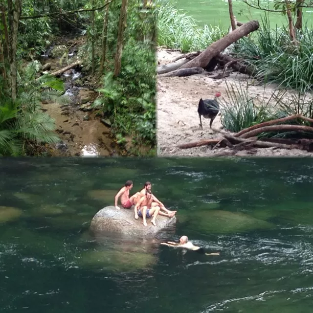 Photo of Daintree River, Daintree River, Queensland, Australia by Pooja Chawla