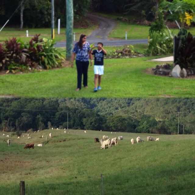 Photo of Australia - 2 weeks in Sunshine coast and Gold coast (Queensland) 3/15 by Pooja Chawla