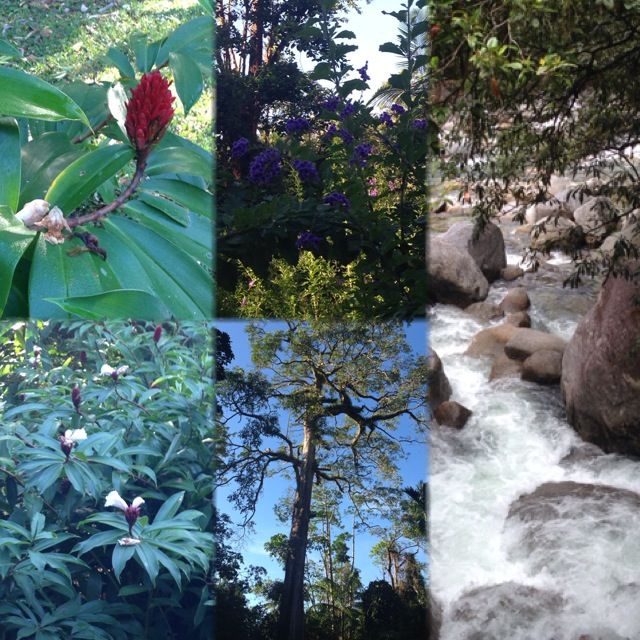 Photo of Australia - 2 weeks in Sunshine coast and Gold coast (Queensland) 4/15 by Pooja Chawla