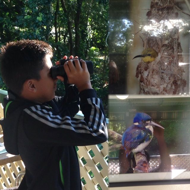Photo of Australia - 2 weeks in Sunshine coast and Gold coast (Queensland) 5/15 by Pooja Chawla