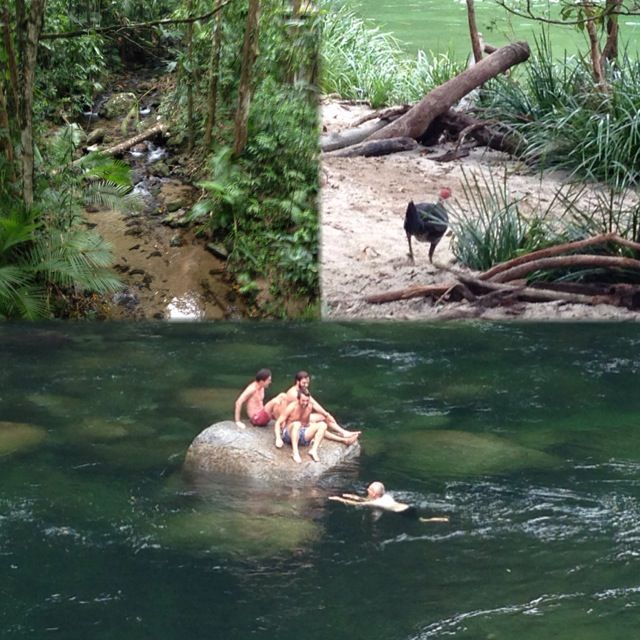Photo of Australia - 2 weeks in Sunshine coast and Gold coast (Queensland) 7/15 by Pooja Chawla