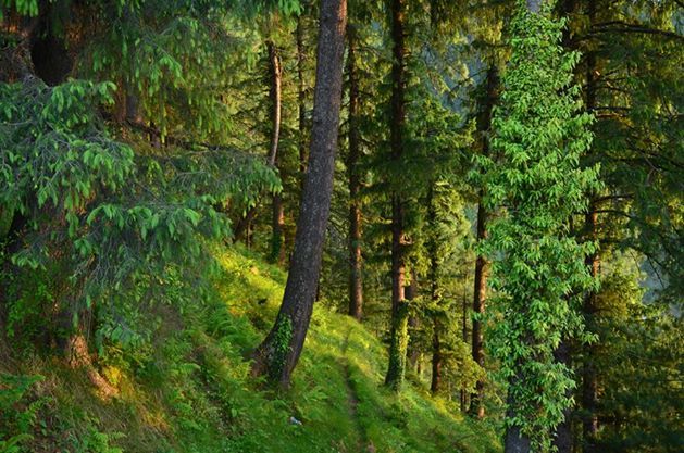 Photo of Soul in disguise at North East Himalayas 2/9 by Santhosh