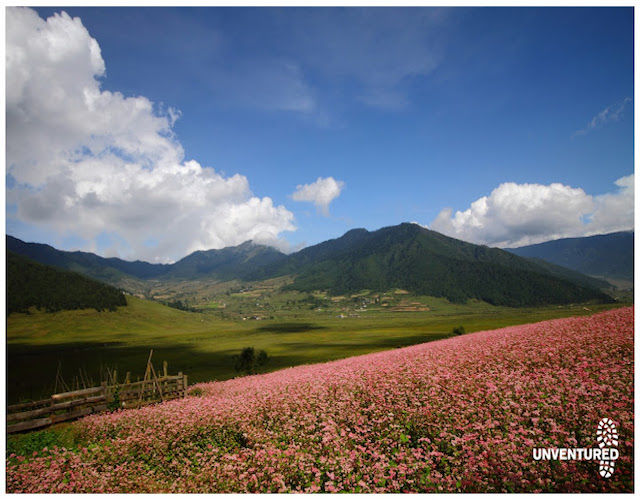 Photo of Unventured - Bhutan Bike & Hike Expedition 5/8 by Unventured