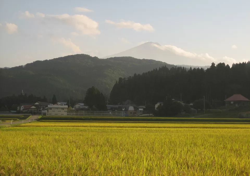 Photo of Takamatsu, Kagawa Prefecture, Japan by Ashna Rawat