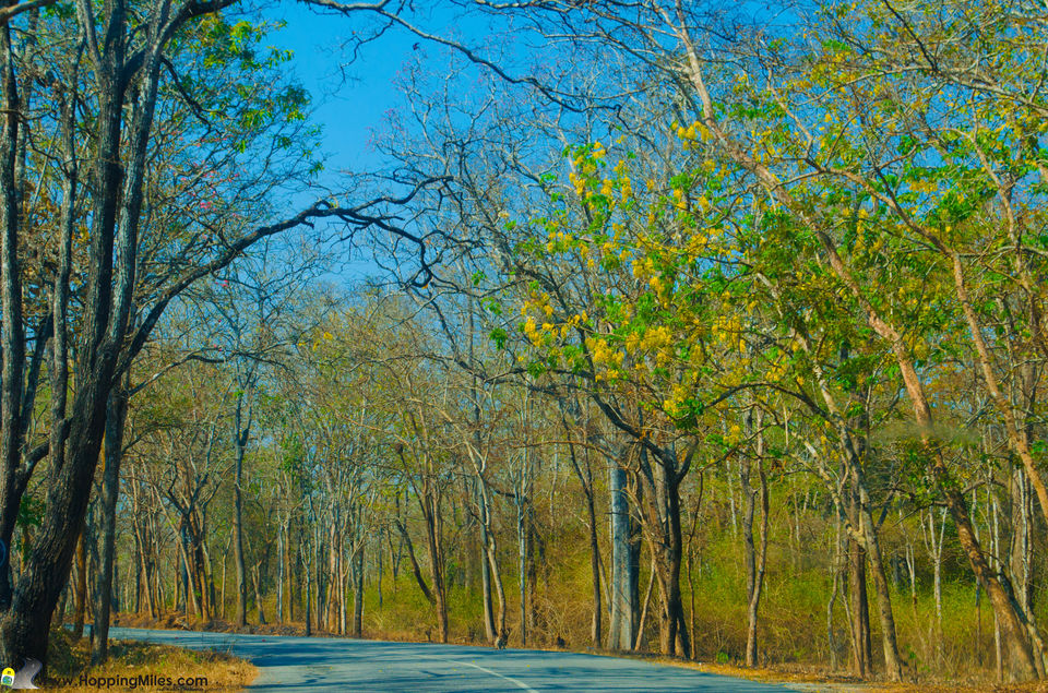 Photo of Bangalore to Ooty: A Scenic Journey That Makes The Perfect Road Trip 10/24 by Ashwini