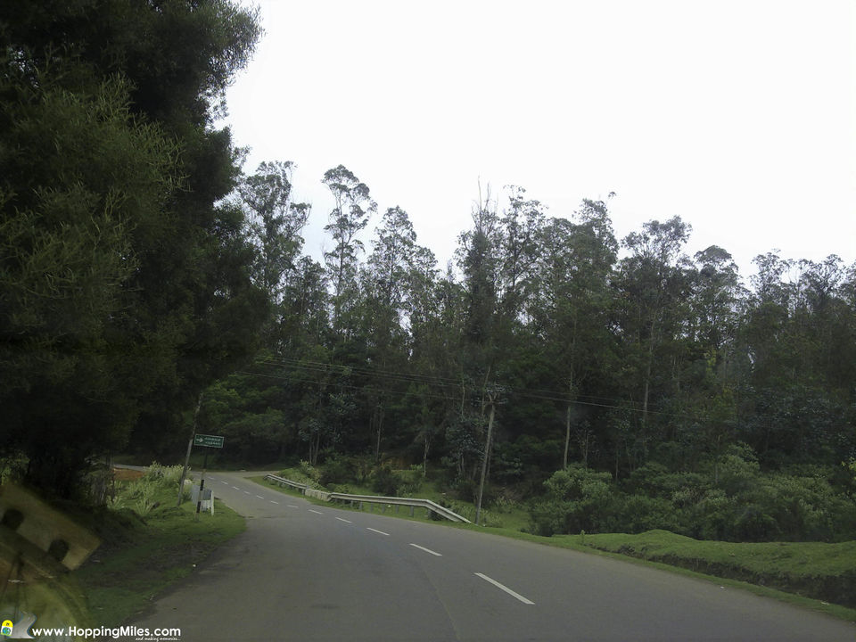 Photo of Bangalore to Ooty: A Scenic Journey That Makes The Perfect Road Trip 17/24 by Ashwini