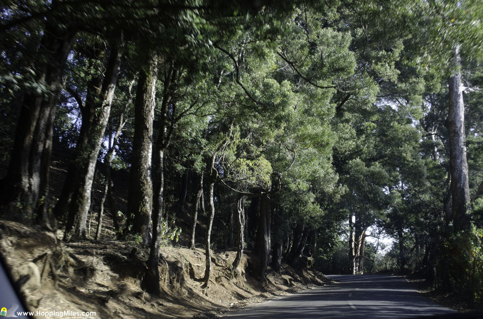 Photo of Bangalore to Ooty: A Scenic Journey That Makes The Perfect Road Trip 20/24 by Ashwini