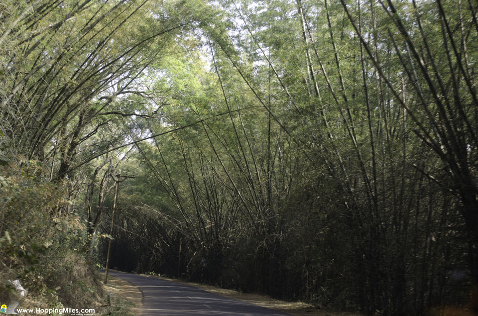 Photo of Bangalore to Ooty: A Scenic Journey That Makes The Perfect Road Trip 21/24 by Ashwini