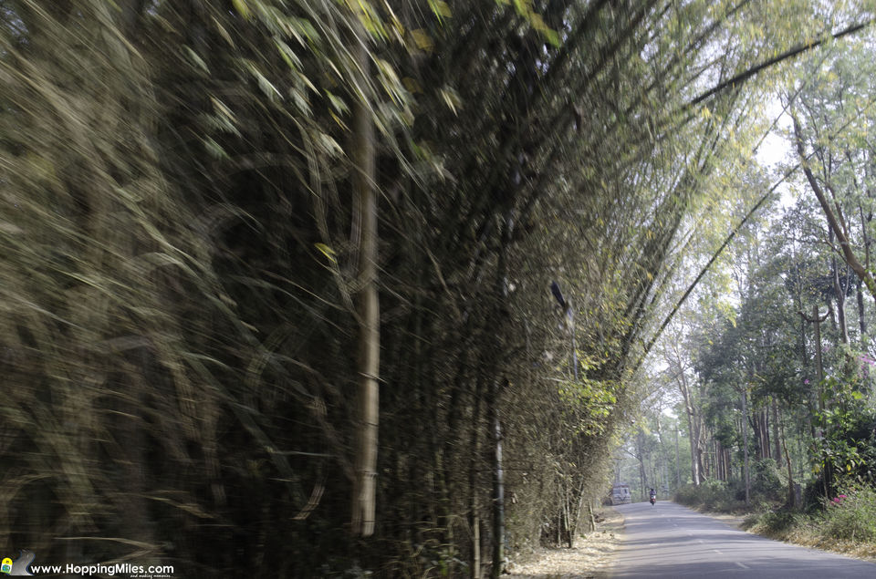 Photo of Bangalore to Ooty: A Scenic Journey That Makes The Perfect Road Trip 22/24 by Ashwini