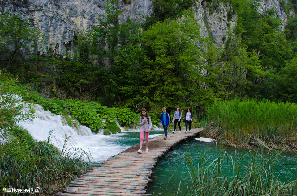 Photo of Plitvice Lakes - The Natural Wonder of Europe 4/11 by Ashwini