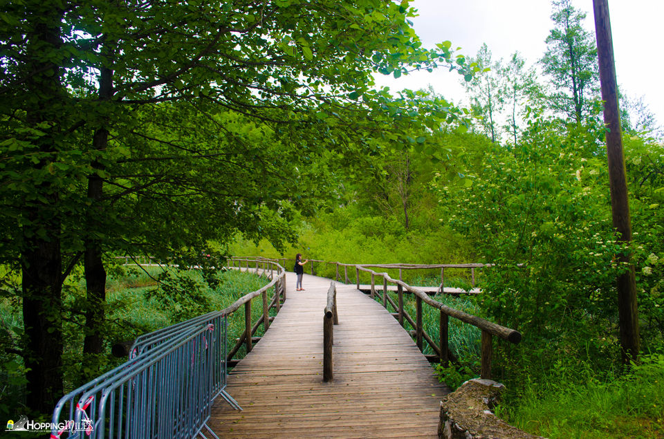 Photo of Plitvice Lakes - The Natural Wonder of Europe 6/11 by Ashwini