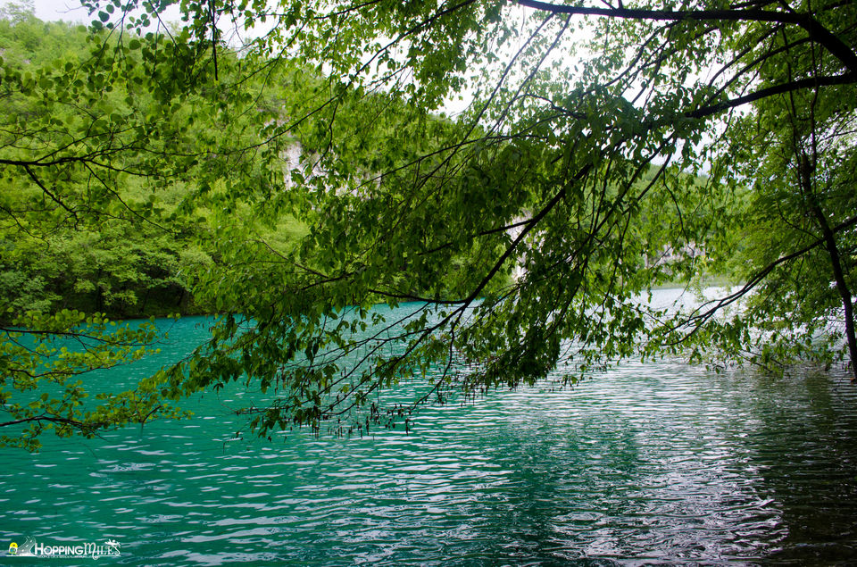 Photo of Plitvice Lakes - The Natural Wonder of Europe 10/11 by Ashwini