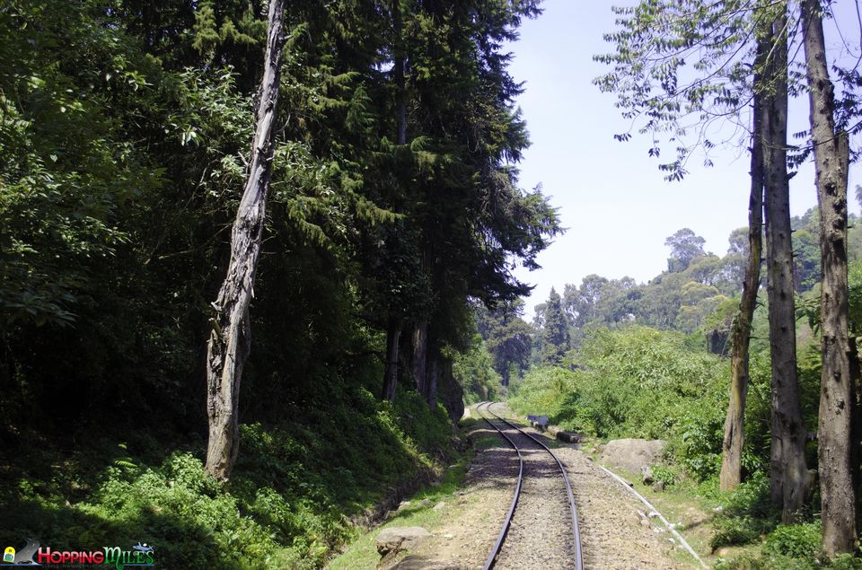 Photo of Ooty Toy train - A MUST experience !! 8/14 by Ashwini