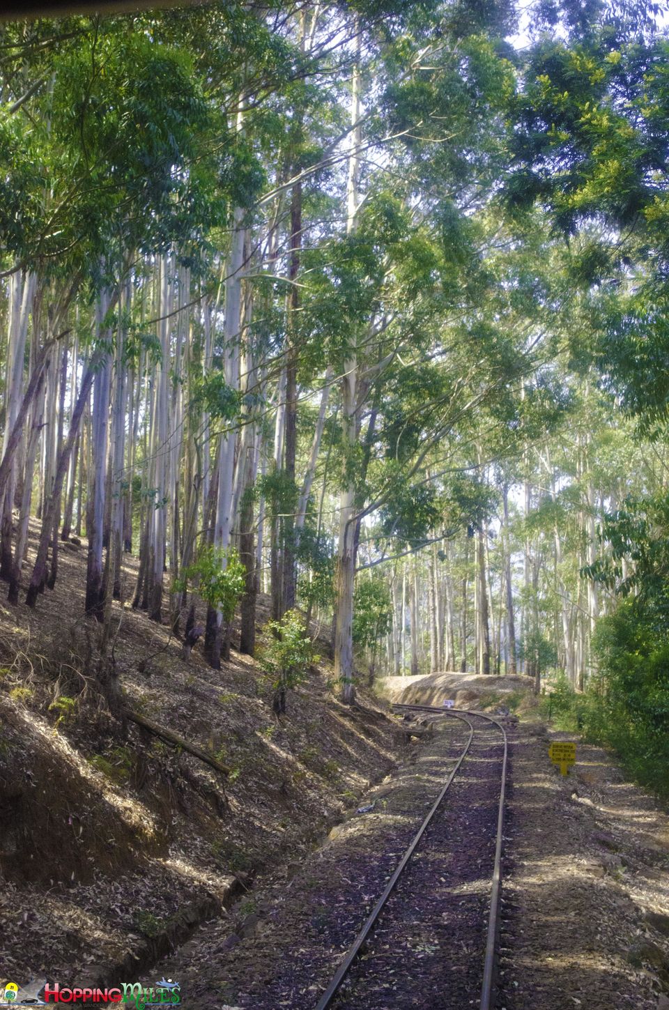 Photo of Ooty Toy train - A MUST experience !! 11/14 by Ashwini