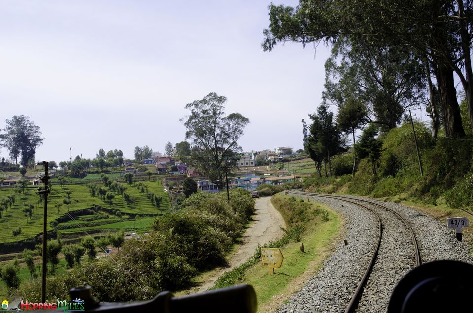 Photo of Ooty Toy train - A MUST experience !! 3/14 by Ashwini