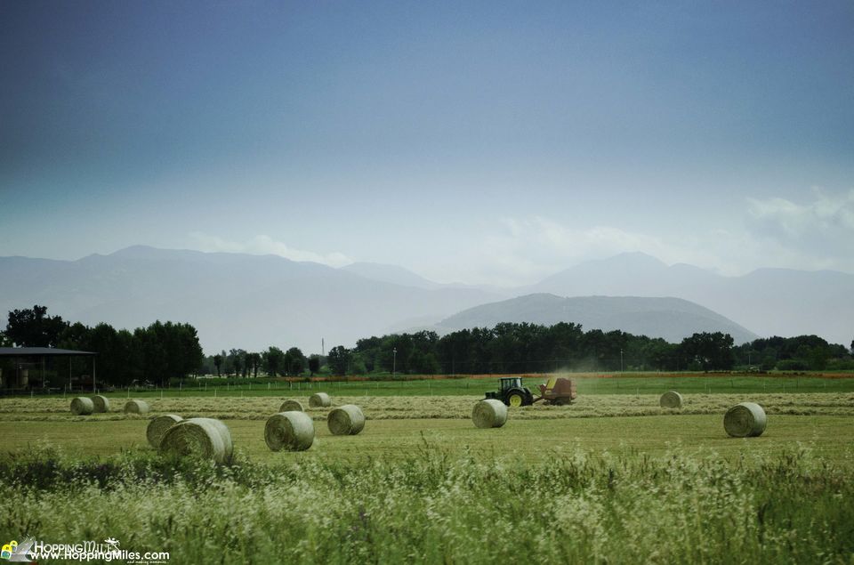 Photo of "Can You Drive In Italy With An Indian License?": All You Need To Know About Roadtripping In Italy 1/8 by Ashwini