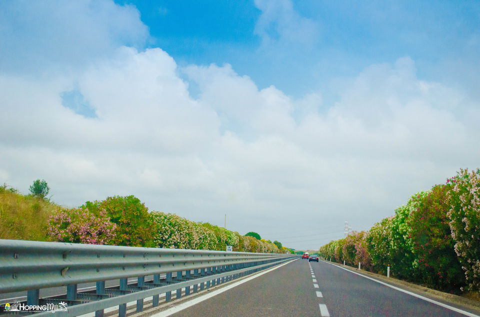 Photo of "Can You Drive In Italy With An Indian License?": All You Need To Know About Roadtripping In Italy 2/8 by Ashwini