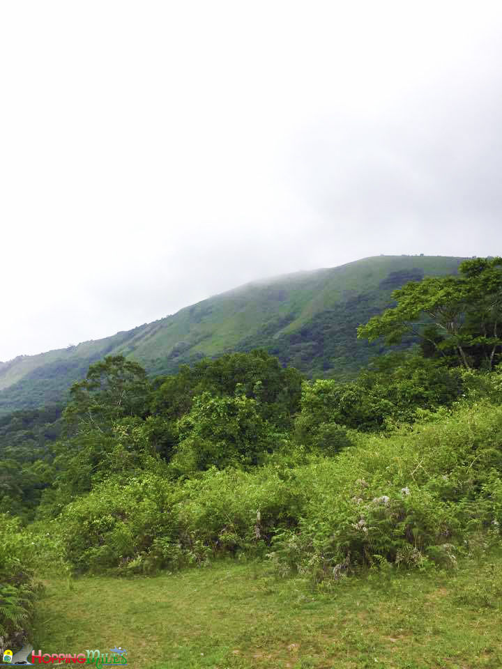 Photo of This Quick Getaway From Bangalore Is What Weekend Dreams Are Made Of! 2/10 by Ashwini