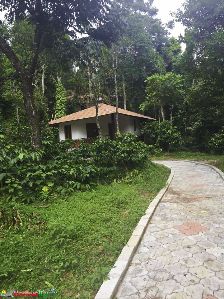 Photo of This Quick Getaway From Bangalore Is What Weekend Dreams Are Made Of! 3/10 by Ashwini