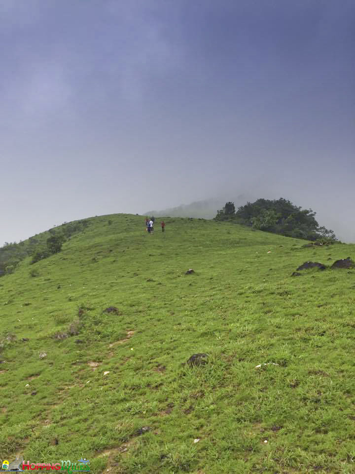 Photo of This Quick Getaway From Bangalore Is What Weekend Dreams Are Made Of! 8/10 by Ashwini