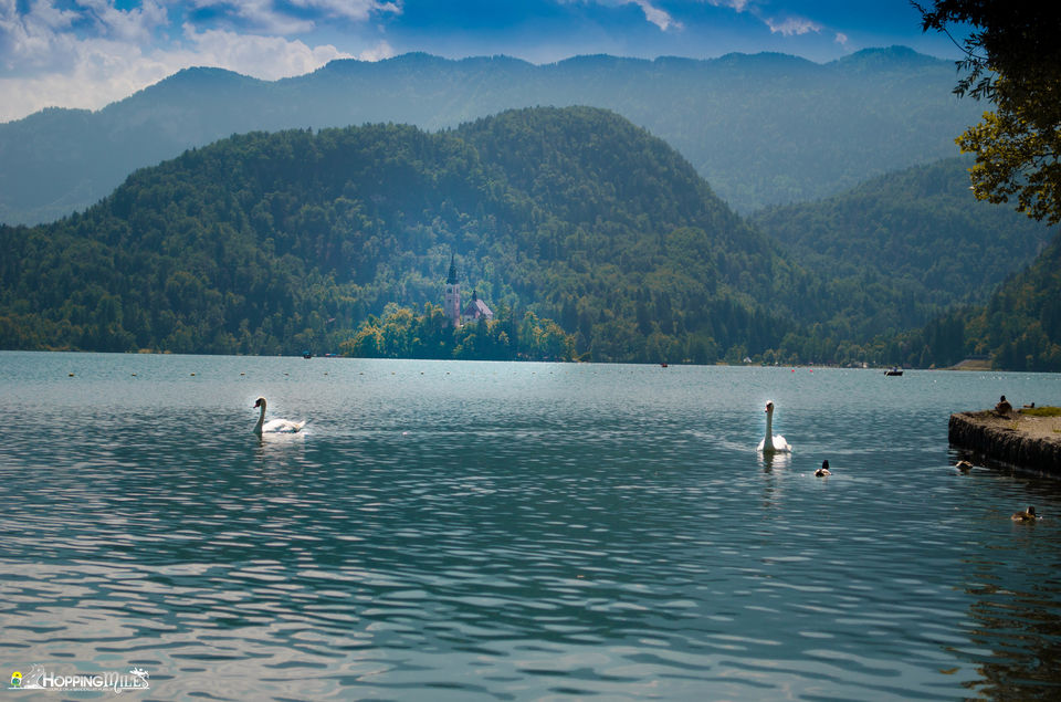 Photo of Slovenia Itinerary 1/16 by Ashwini