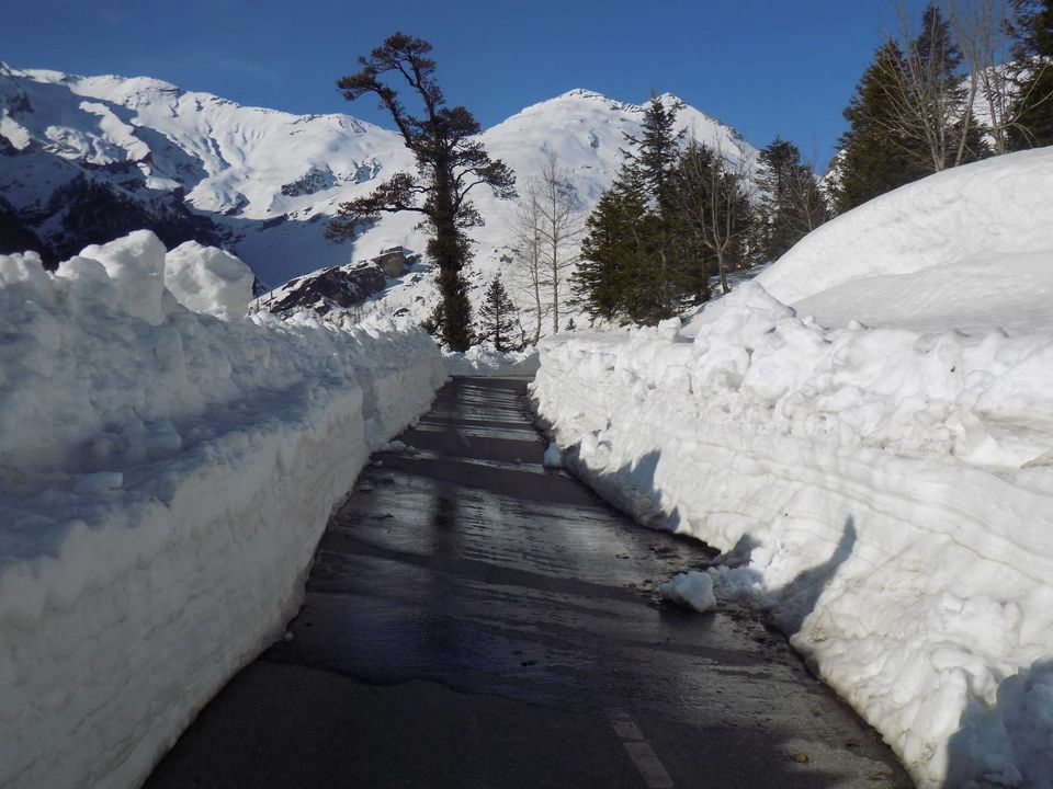 Photo of A month in Himalayas | Spiti in Detail 49/61 by Gyayak Jain