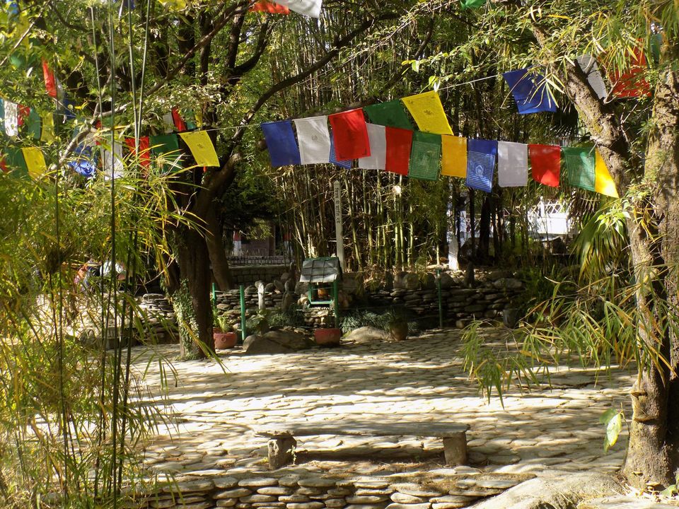 Photo of A month in Himalayas | Spiti in Detail 56/61 by Gyayak Jain