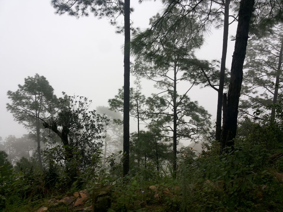 Photo of A weekend in Lansdowne 2/11 by Gyayak Jain
