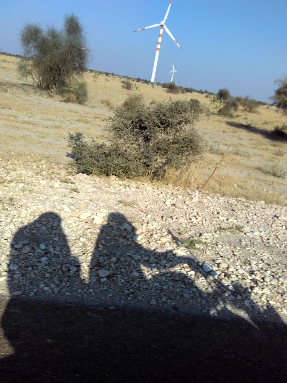 Photo of Getting lost in the desert: Jaisalmer & Jodhpur 14/31 by Gyayak Jain
