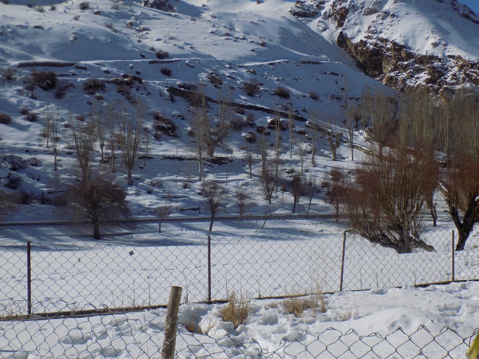 Photo of A month in Himalayas | Spiti in Detail 34/61 by Gyayak Jain