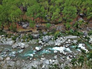 Photo of Essence of Petrichor in Palampur 4/6 by Travellers Photography
