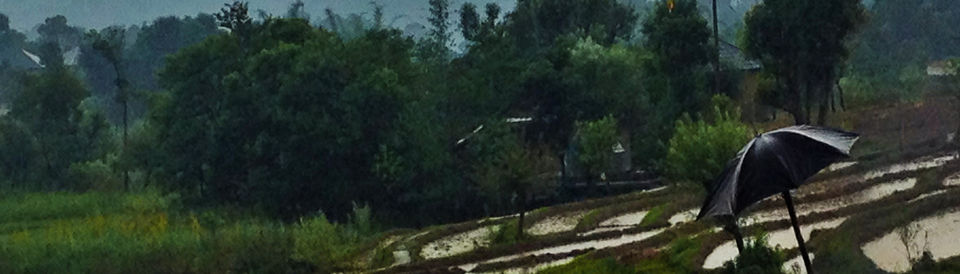 Photo of Essence of Petrichor in Palampur 6/6 by Travellers Photography